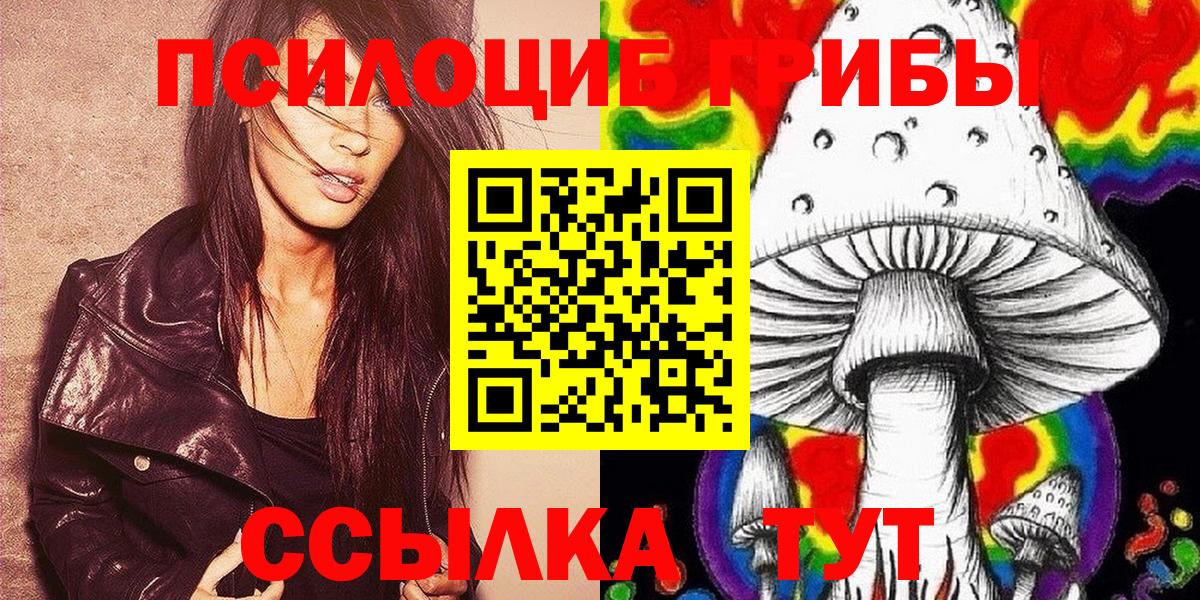 Псилоцибиновые грибы GOLDEN TEACHER Заволжье