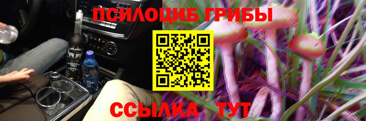 где можно купить   Галлюциногенные грибы MAGIC MUSHROOMS  Вход с VPN  Заволжье 